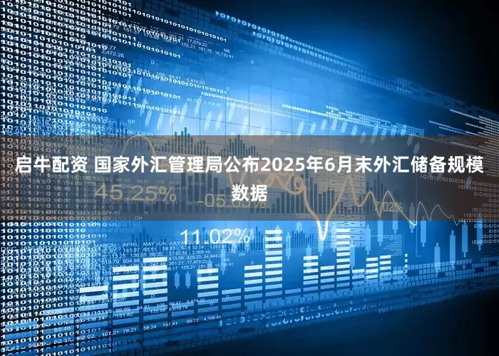 启牛配资 国家外汇管理局公布2025年6月末外汇储备规模数据